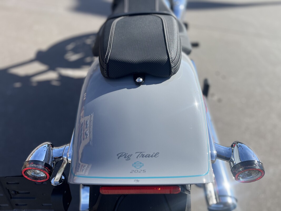 2025 Harley-Davidson Breakout FXBR Billiard Gray - Photo 10
