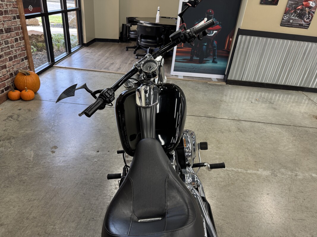 2017 Harley-Davidson Breakout FXSB - Photo 3