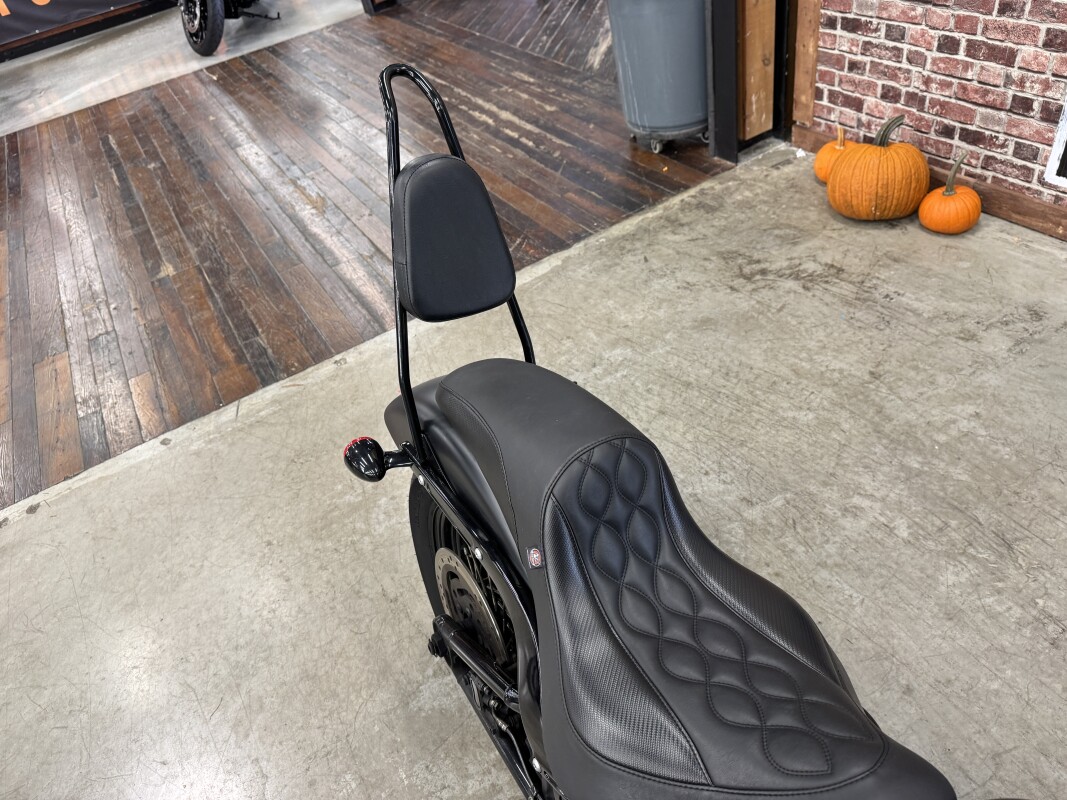2020 Harley-Davidson Softail Slim FLSL - Photo 5