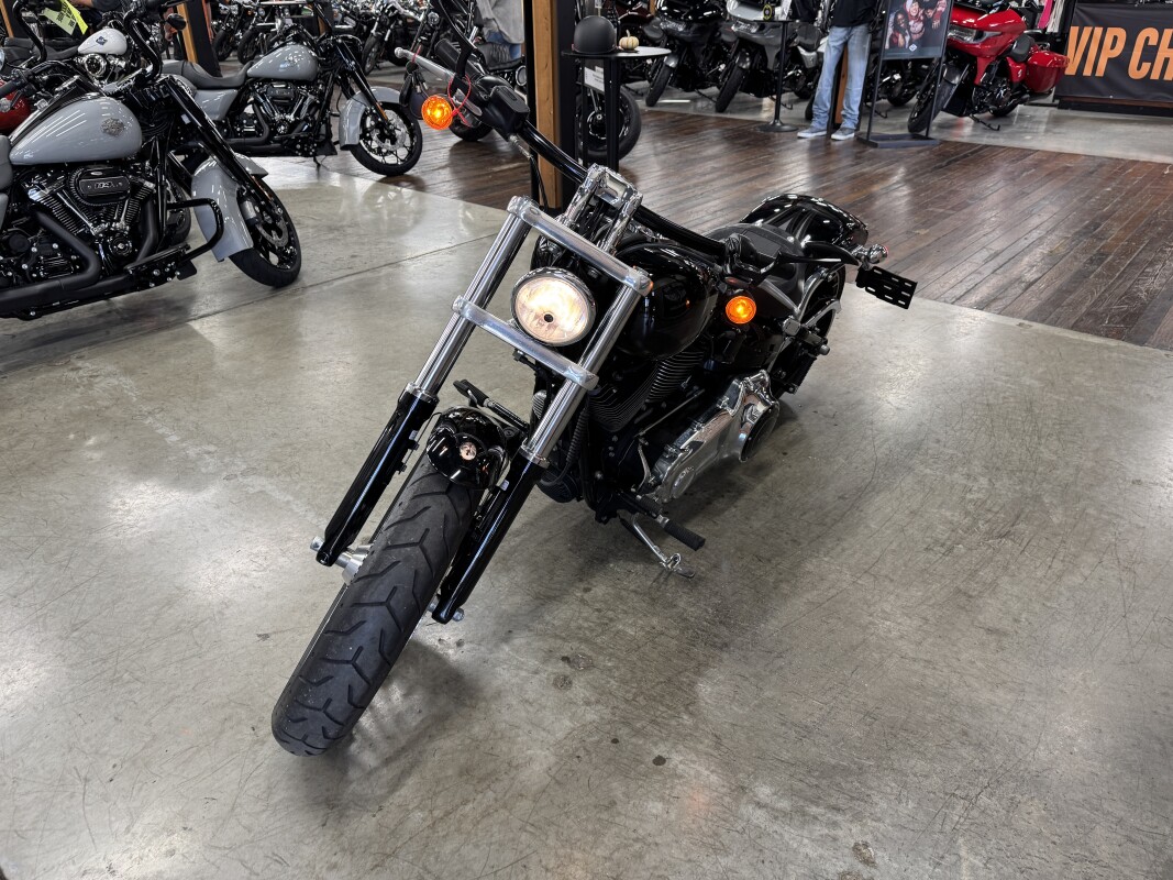 2017 Harley-Davidson Breakout FXSB - Photo 10