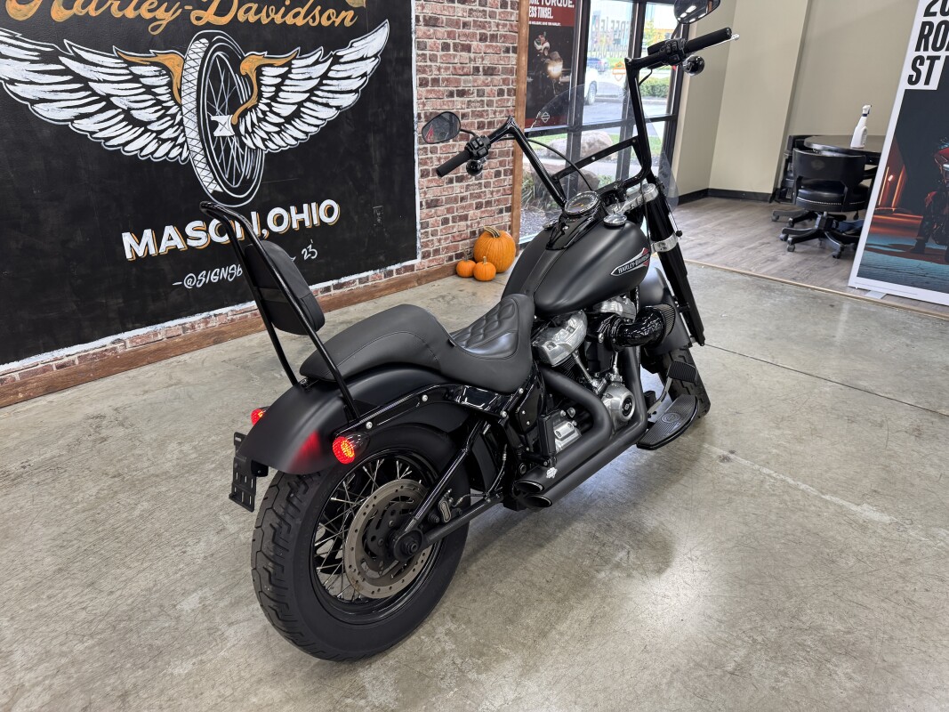 2020 Harley-Davidson Softail Slim FLSL - Photo 6