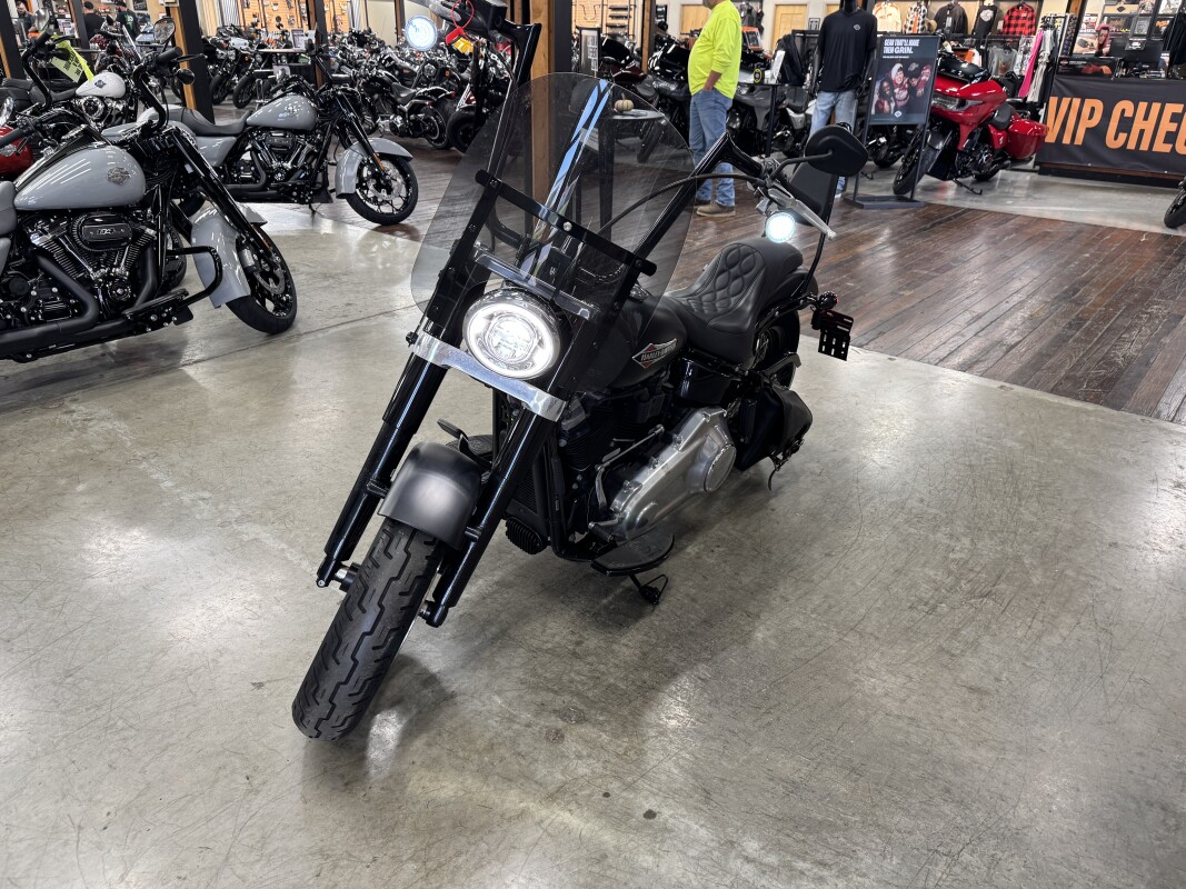 2020 Harley-Davidson Softail Slim FLSL - Photo 10