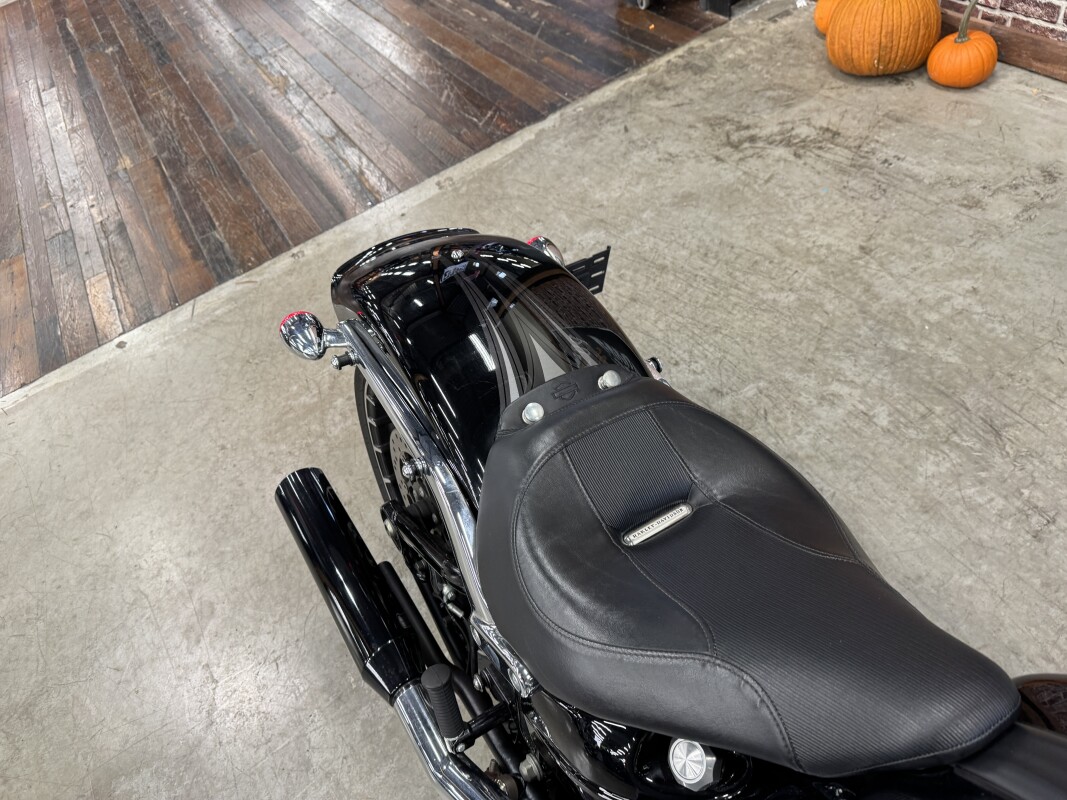 2017 Harley-Davidson Breakout FXSB - Photo 5