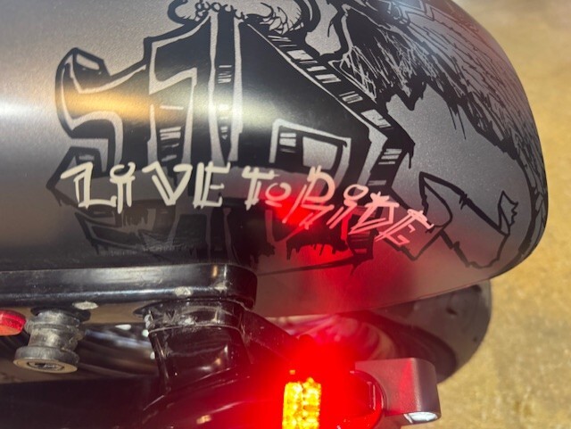 2019 Harley Davidson Street Bob FXBB - Photo 8