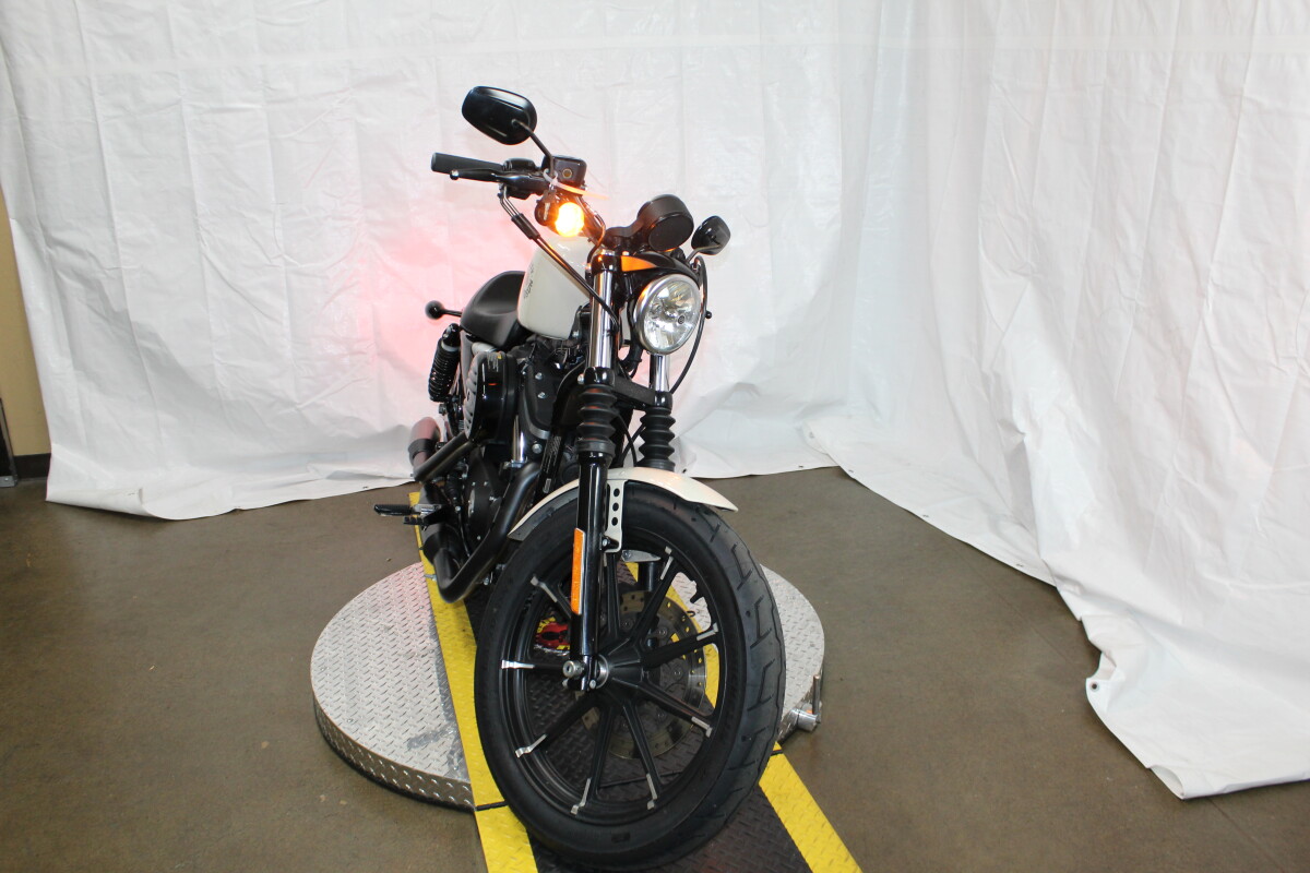 Harley-Davidson Iron 883 2022 XL 883N 406415T WHITE SAND PRL - Photo 3