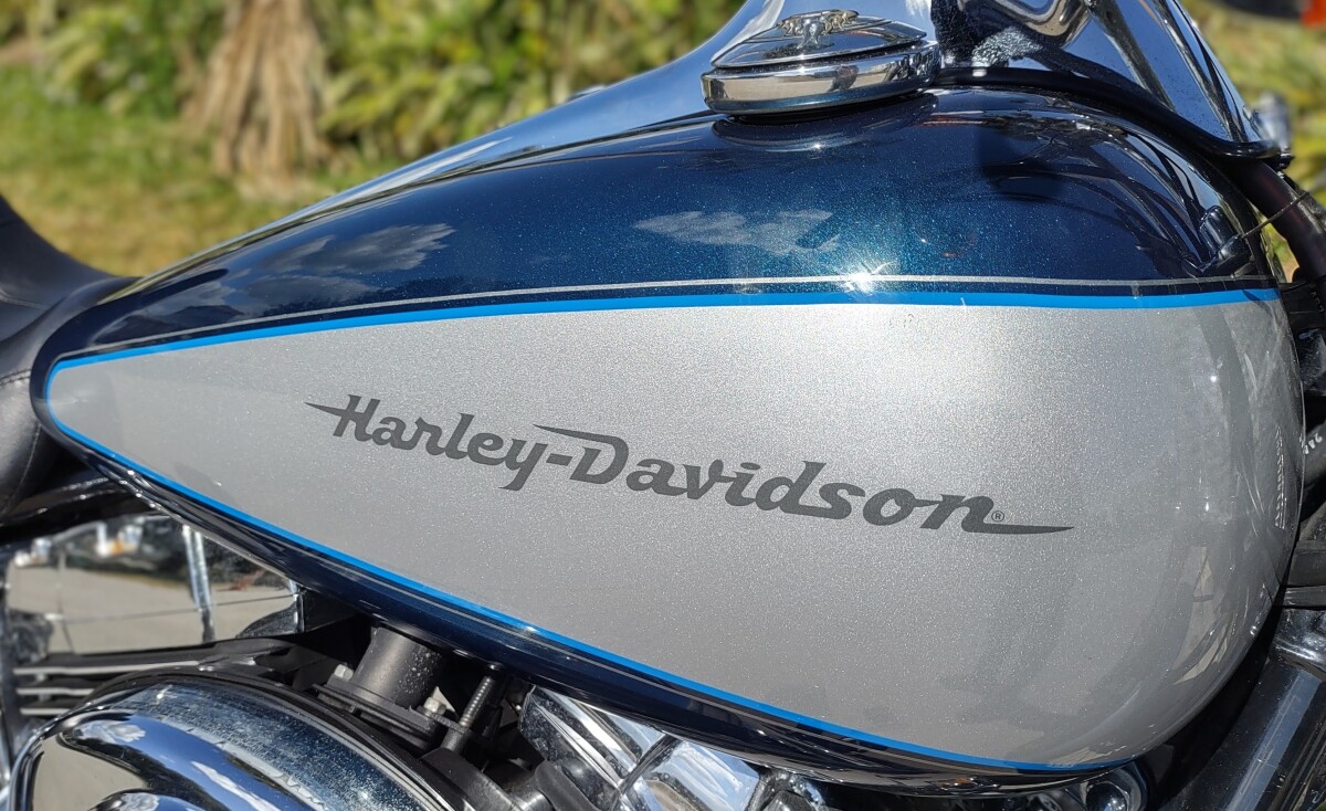 Softail Deuce - Photo 7