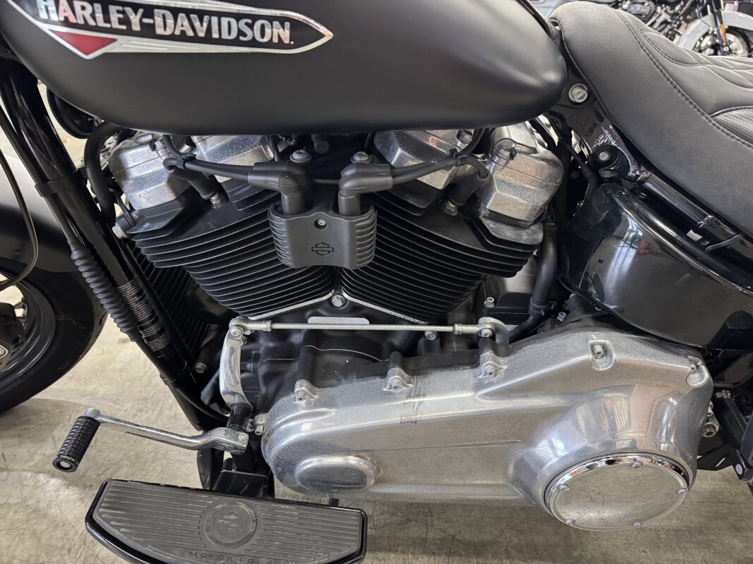 2020 Harley-Davidson Softail Slim FLSL - Photo 9