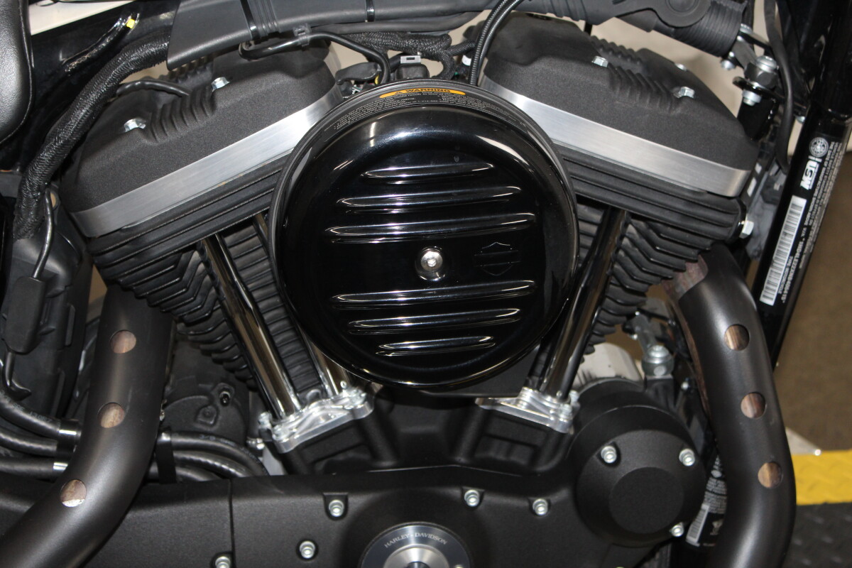 Harley-Davidson Iron 883 2022 XL 883N 406415T WHITE SAND PRL - Photo 10