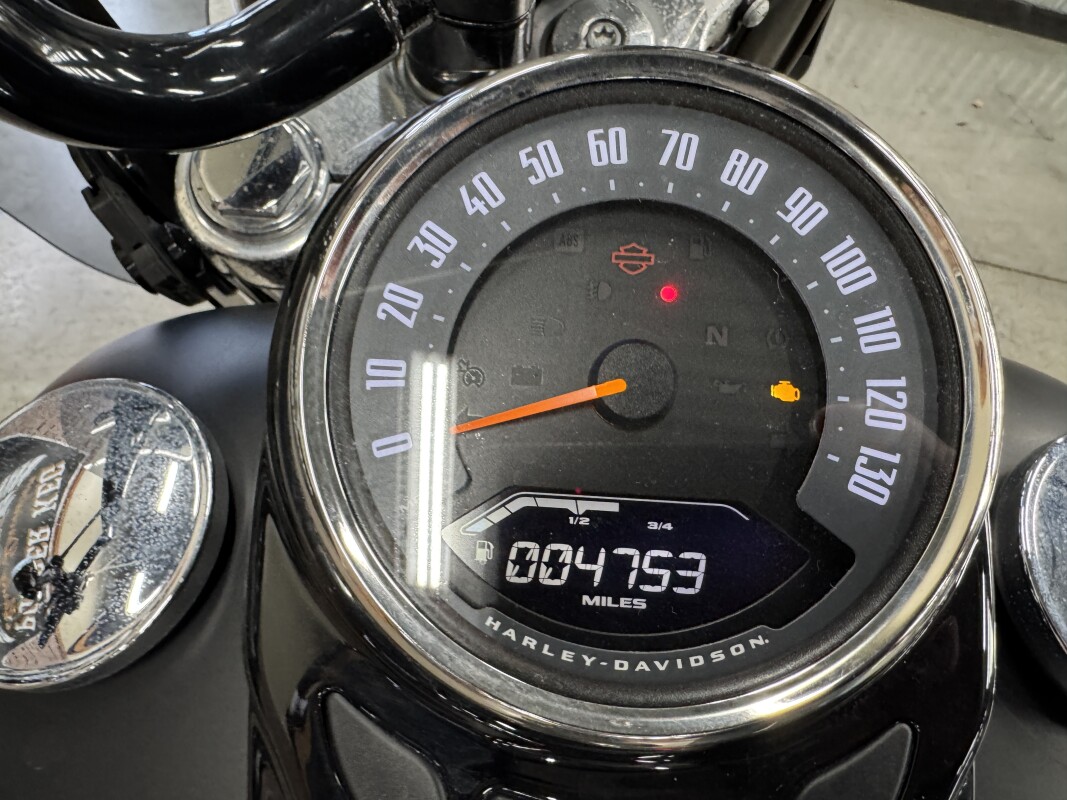 2020 Harley-Davidson Softail Slim FLSL - Photo 4