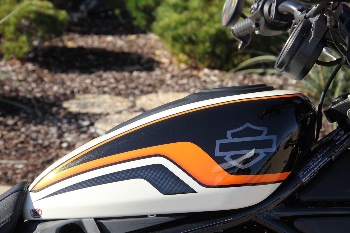 2025 Harley-Davidson Nightster Special Custom Paint - Photo 10