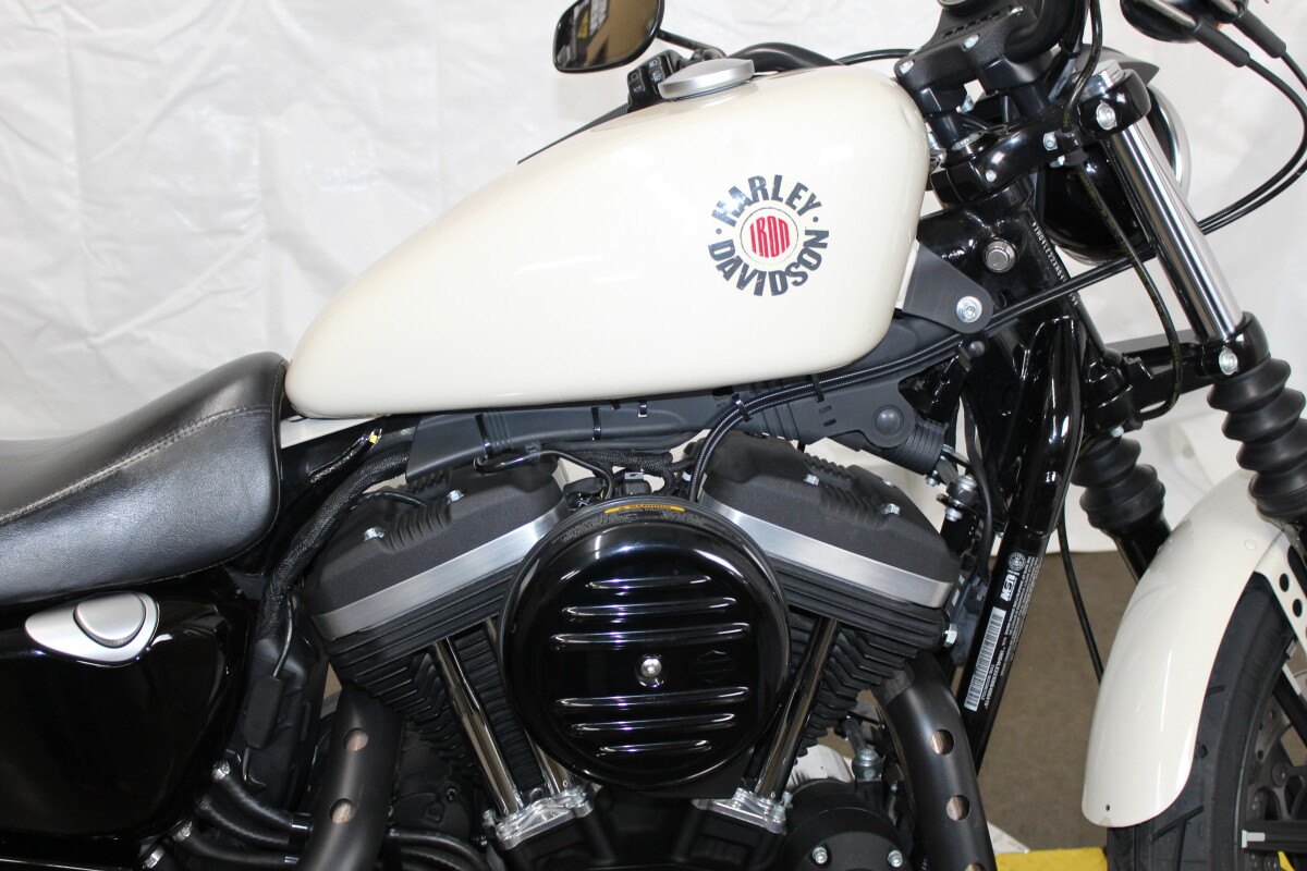 Harley-Davidson Iron 883 2022 XL 883N 406415T WHITE SAND PRL - Photo 9