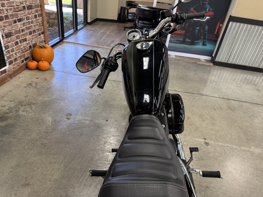 2017 Harley-Davidson Roadster XL1200R - Photo 3