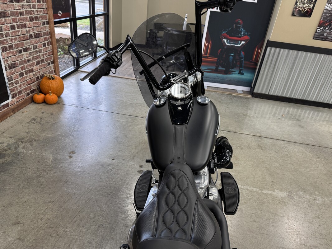 2020 Harley-Davidson Softail Slim FLSL - Photo 3