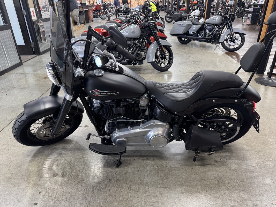 2020 Harley-Davidson Softail Slim FLSL - Photo 8