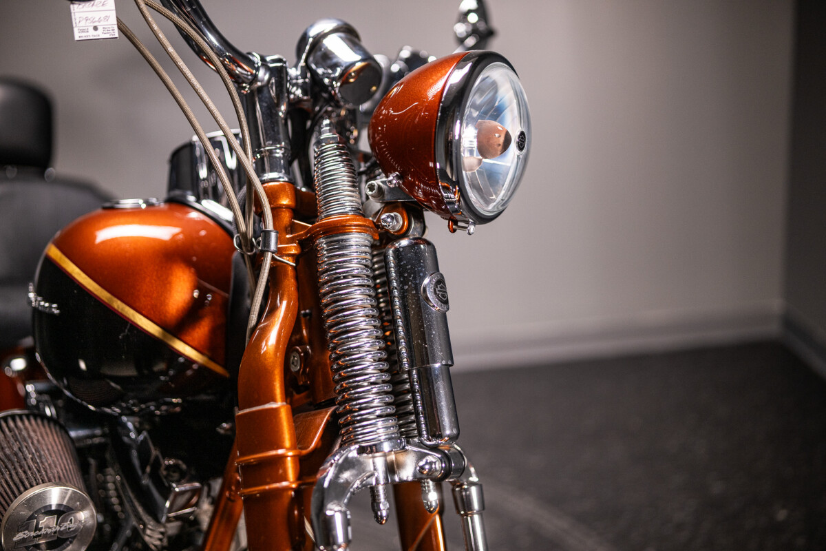 2008 Screamin’ Eagle Softail Springer (FXSTSSE2) - Photo 10