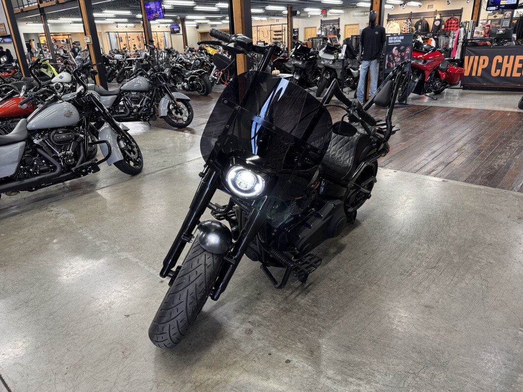 2018 Harley-Davidson Fat Boy 114 FLFBS - Photo 10
