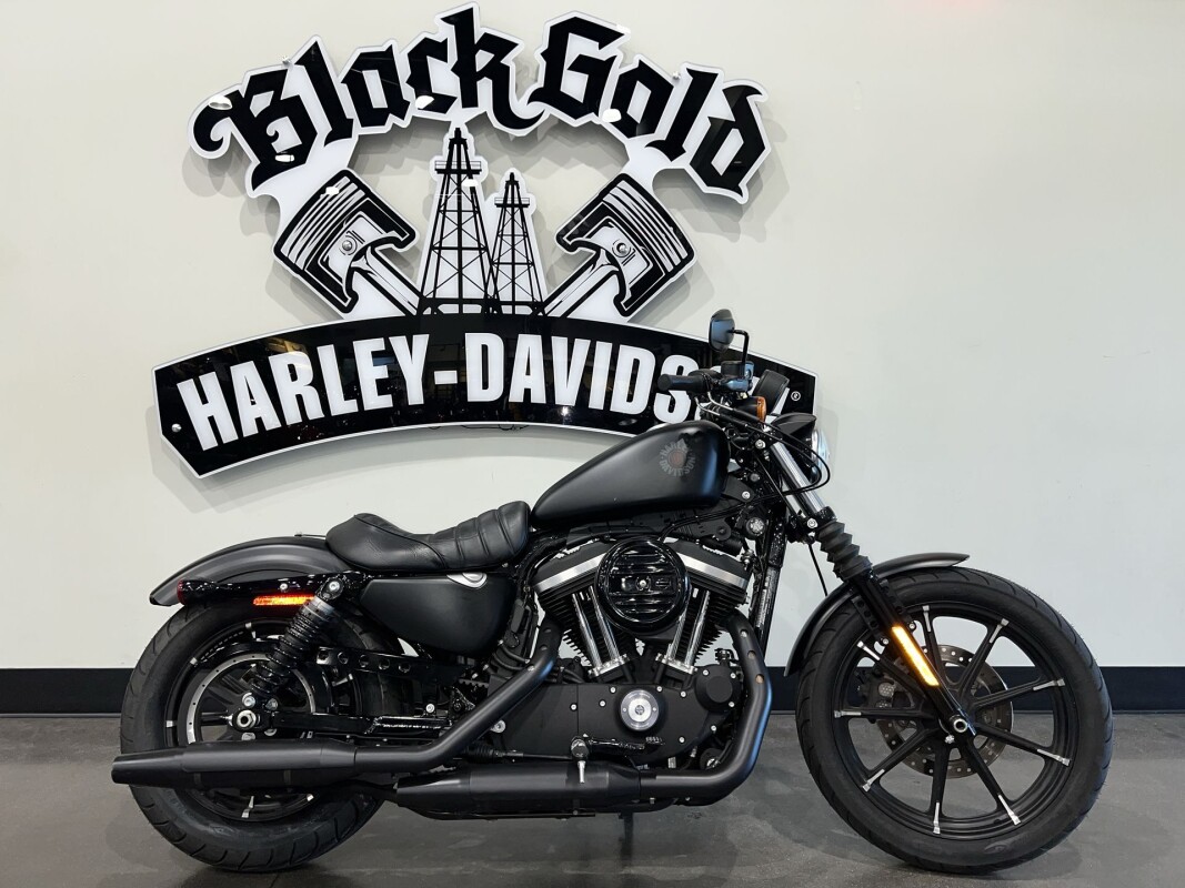 2020 Harley-Davidson Iron 883 XL 883N
