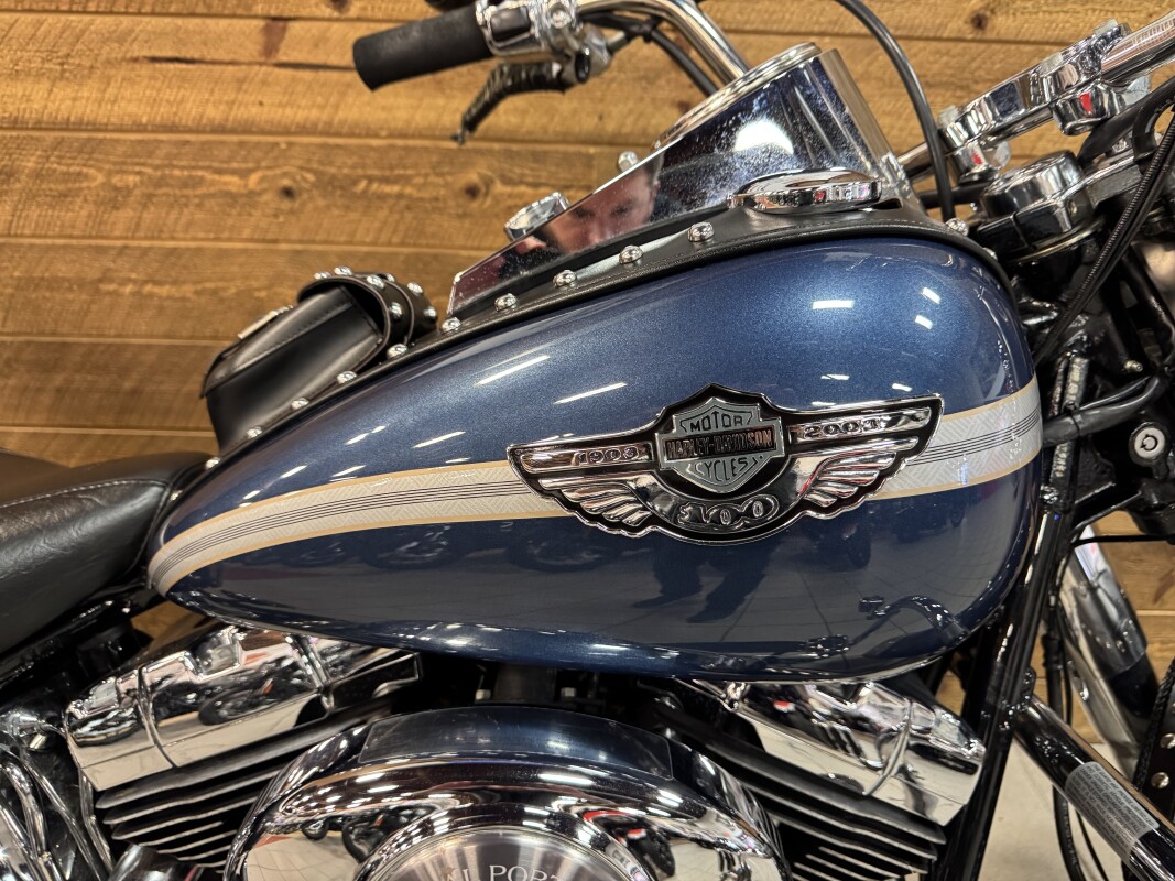 2003 HARLEY-DAVIDSON SOFTAIL HERITAGE CLASSIC GUNMETAL FLSTC - Photo 2