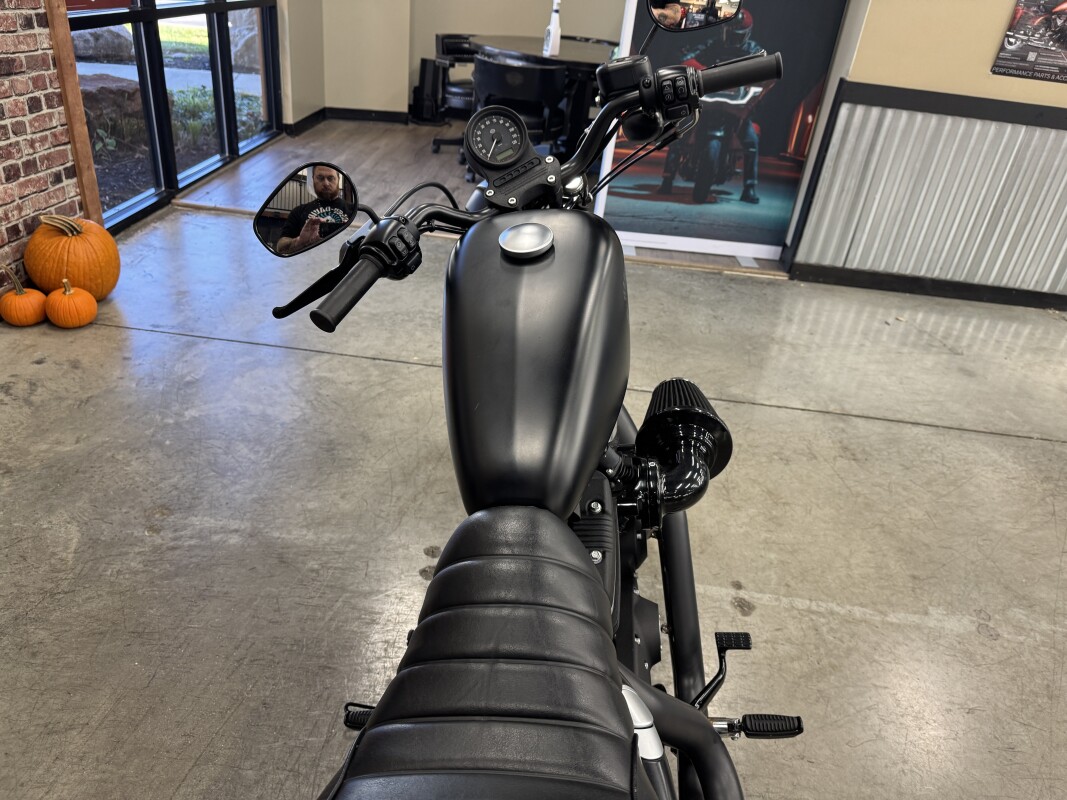 2019 Harley-Davidson Iron 883 XL 883N - Photo 3