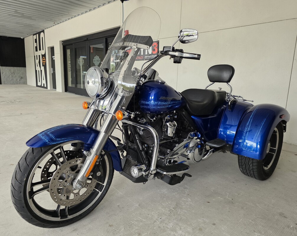 2019 Harley-Davidson Freewheeler - Photo 10