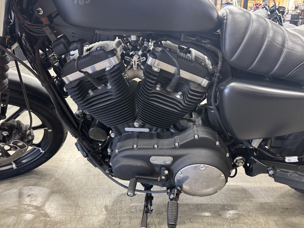 2019 Harley-Davidson Iron 883 XL 883N - Photo 9