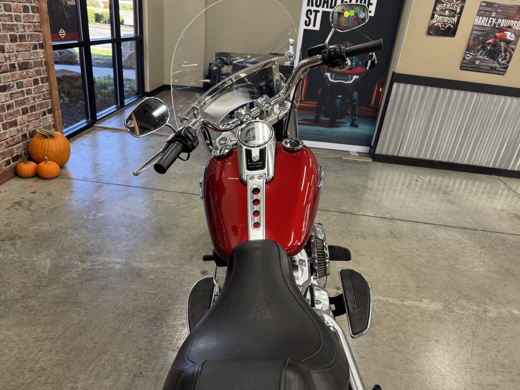 2019 Harley-Davidson Fat Boy 114 FLFBS - Photo 3