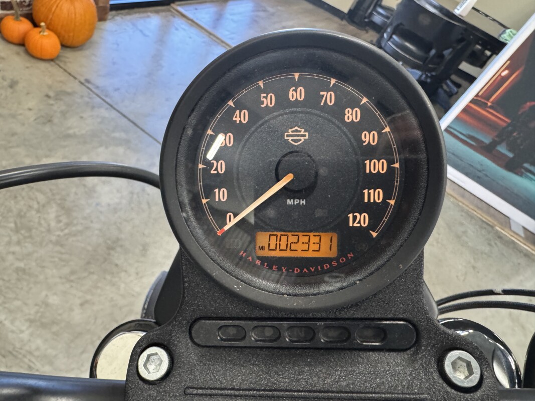 2019 Harley-Davidson Iron 883 XL 883N - Photo 4