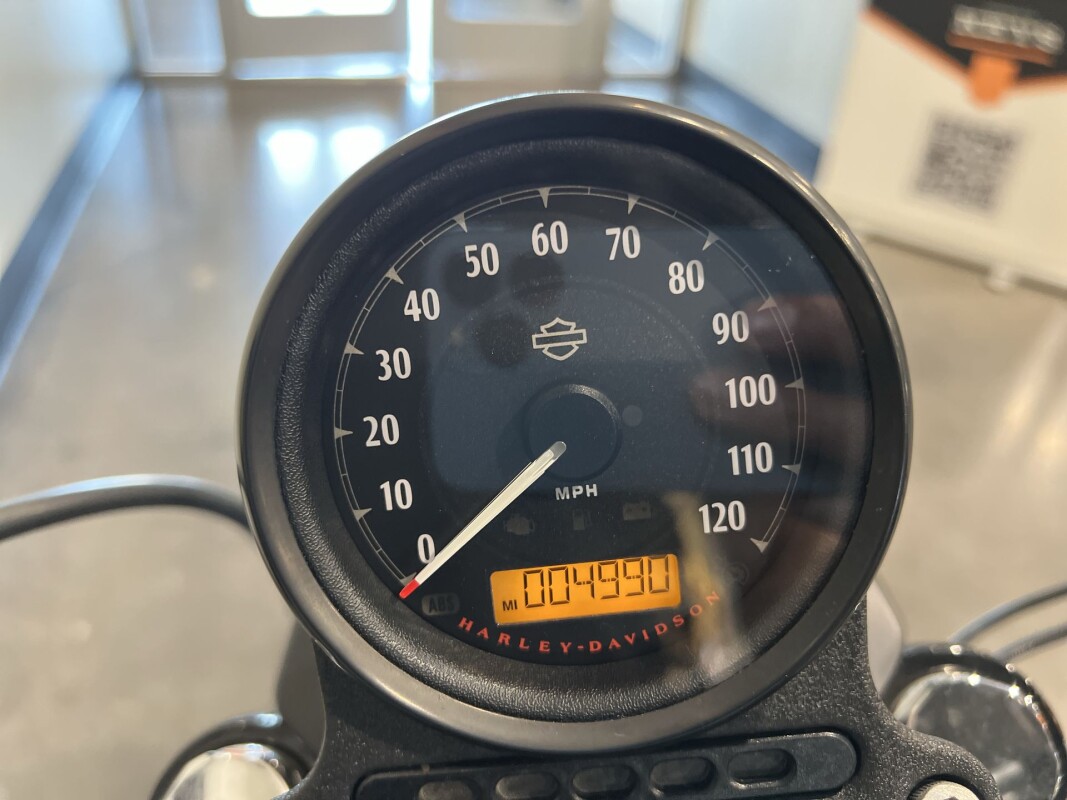 2020 Harley-Davidson Iron 883 XL 883N - Photo 10