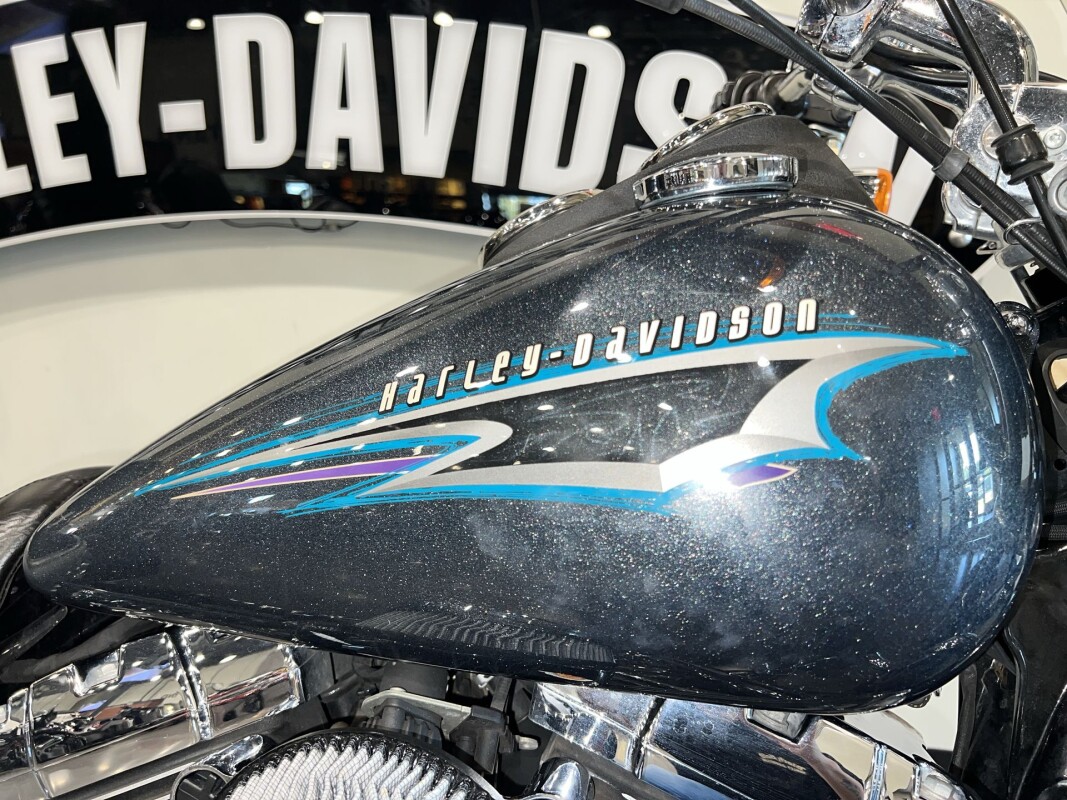 2015 Harley-Davidson Low Rider FXDL - Photo 5