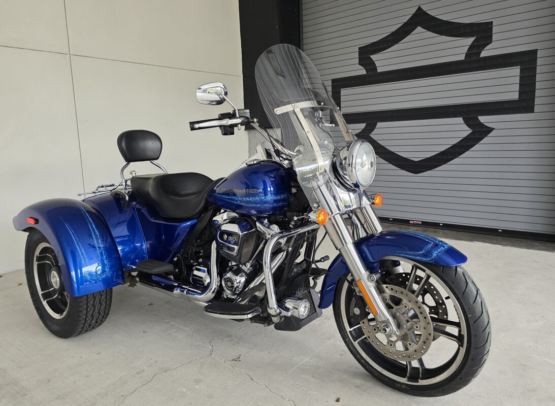 2019 Harley-Davidson Freewheeler - Photo 2