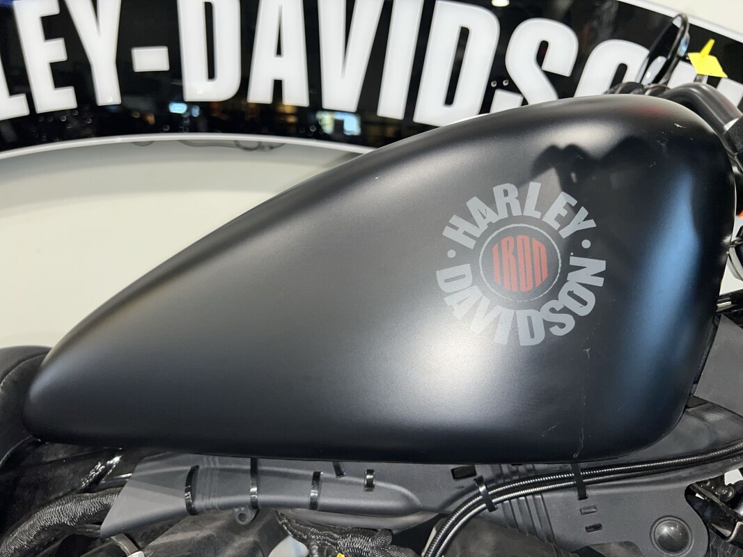 2020 Harley-Davidson Iron 883 XL 883N - Photo 5