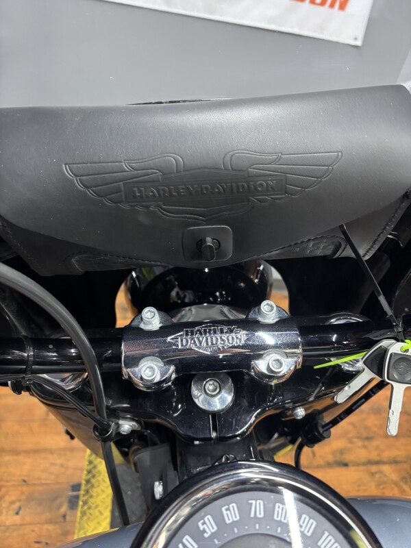2024 Harley-Davidson Heritage Classic 114 ATLAS SLV MTLIC BO - Photo 6