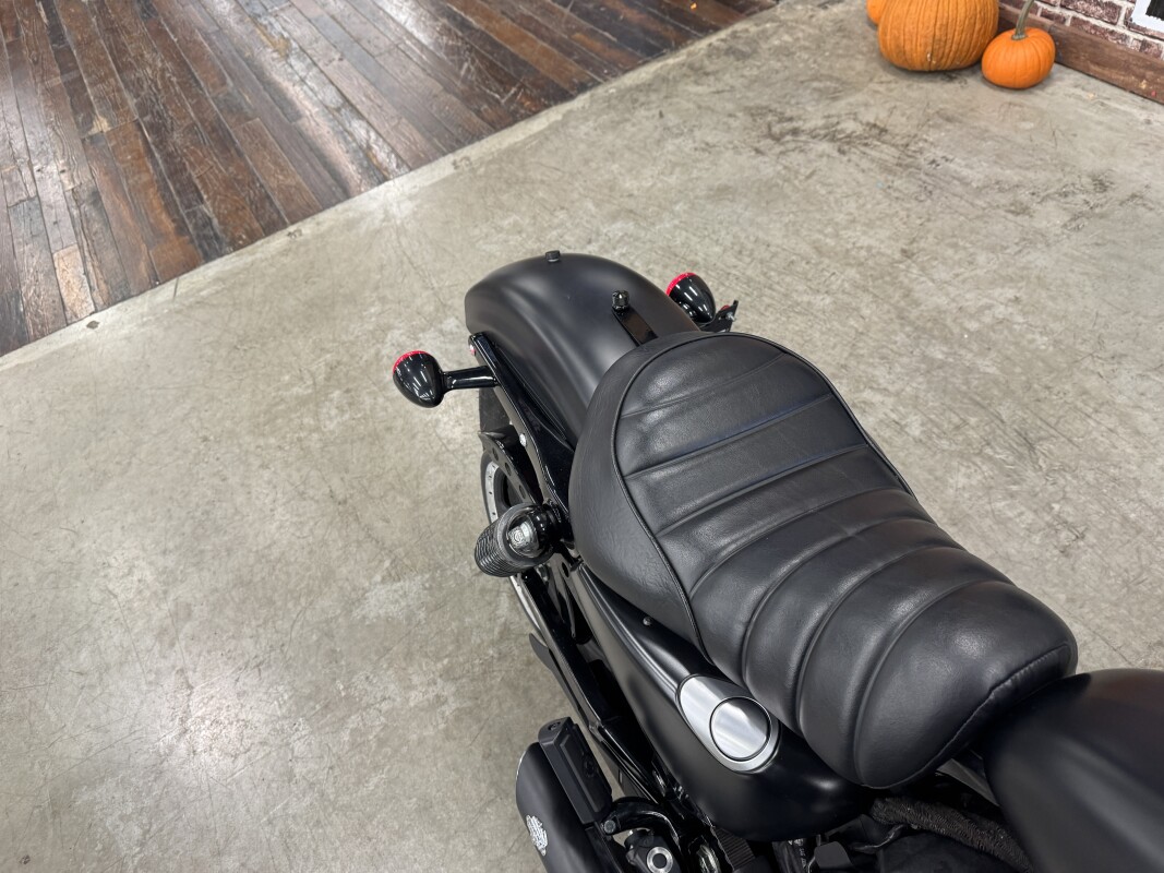 2019 Harley-Davidson Iron 883 XL 883N - Photo 5