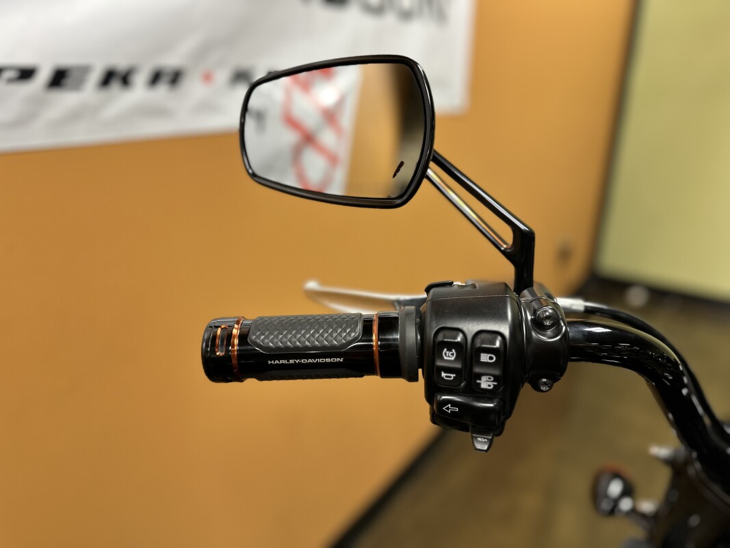 FLRT 2023 Freewheeler®, photo 11