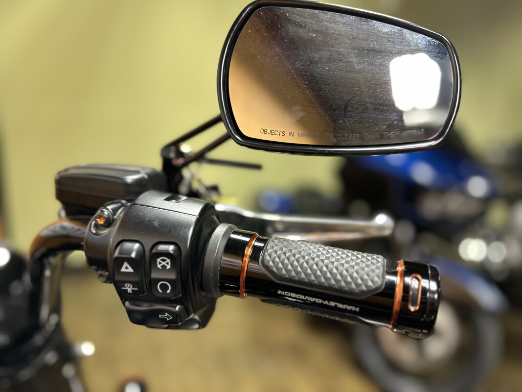 FLRT 2023 Freewheeler®, photo 12