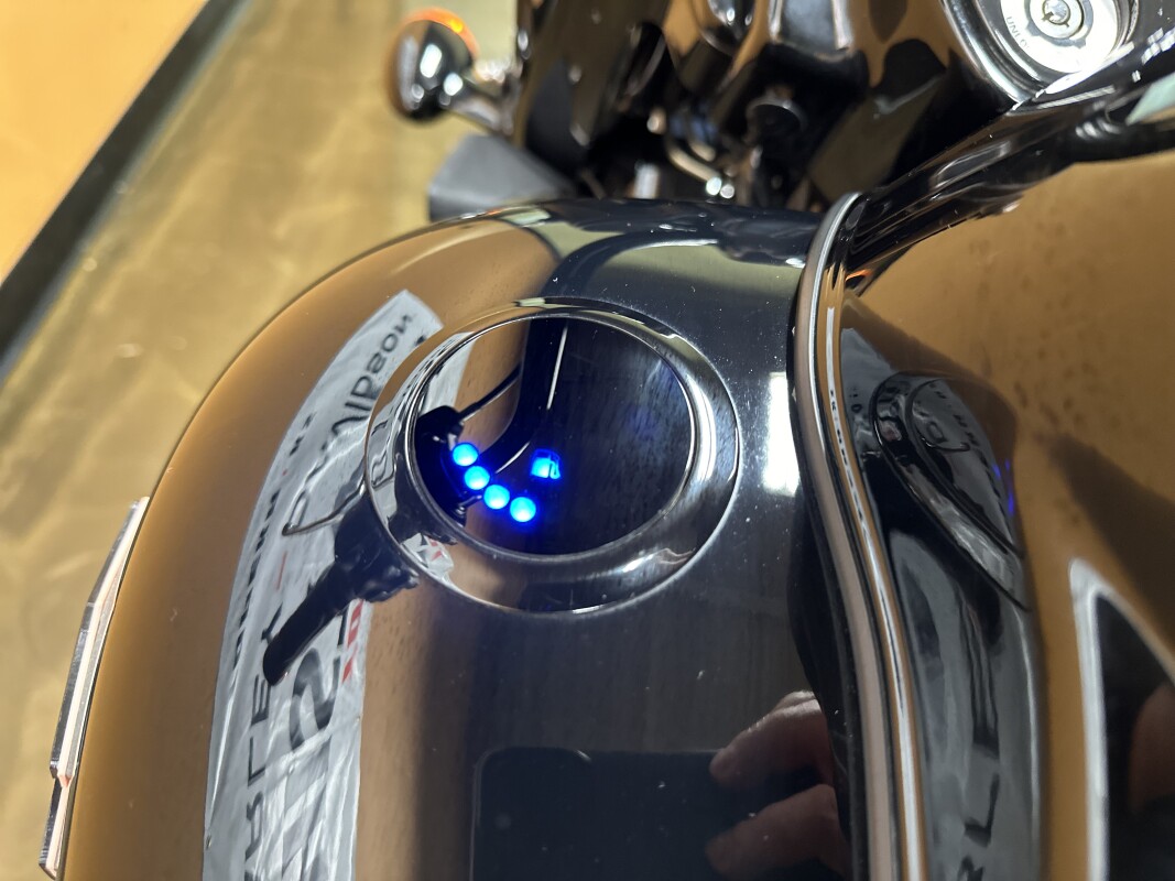 FLRT 2023 Freewheeler®, photo 13