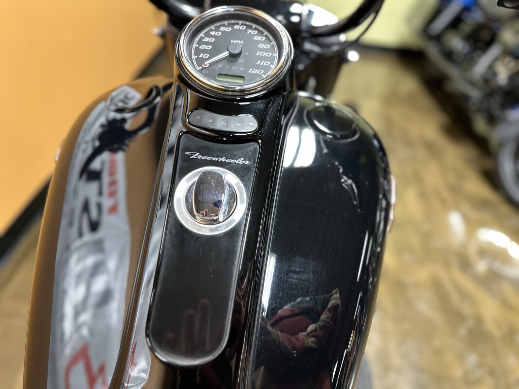 FLRT 2023 Freewheeler®, photo 8