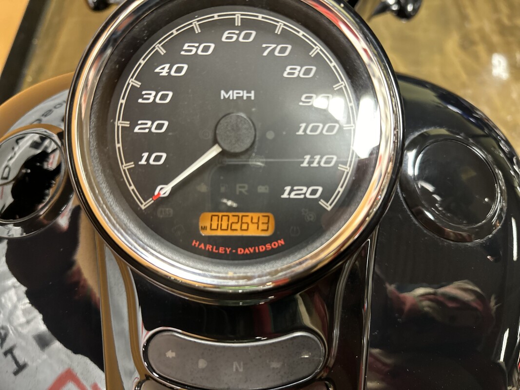 FLRT 2023 Freewheeler®, photo 10