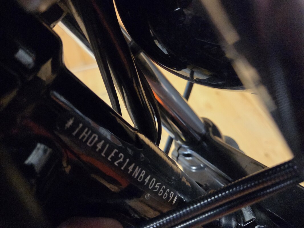 XL 883N 2022 Iron 883™, photo 6