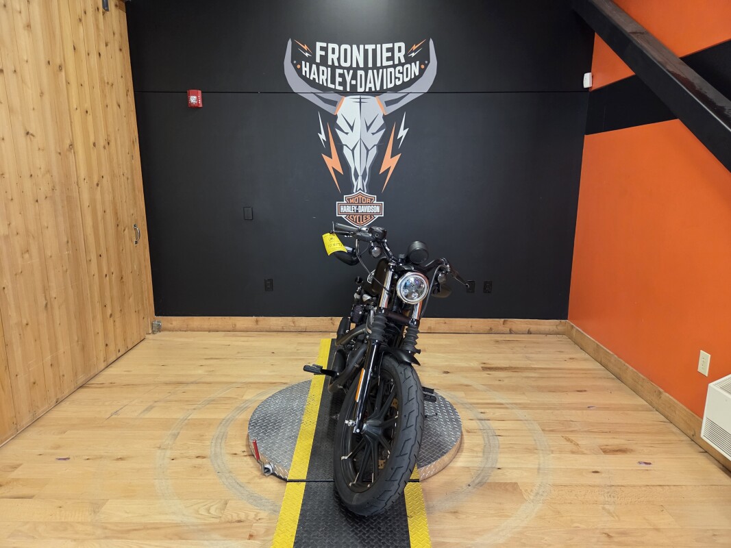XL 883N 2022 Iron 883™, photo 3