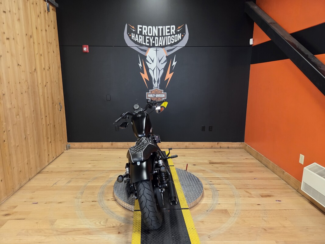 XL 883N 2022 Iron 883™, photo 4