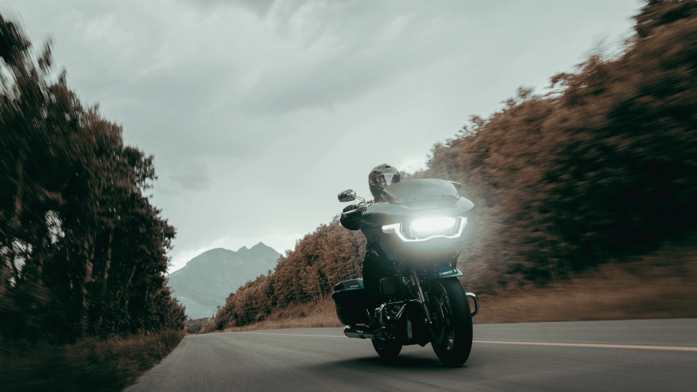 2025 Harley-Davidson CVO Road Glide with Sharknose fairing riding through a scenic road, showcasing comfort for Florida highways.