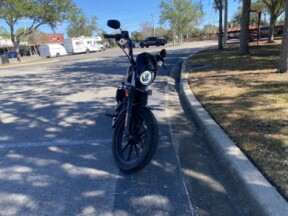 2021 Harley-Davidson® Iron 1200™ thumb 2