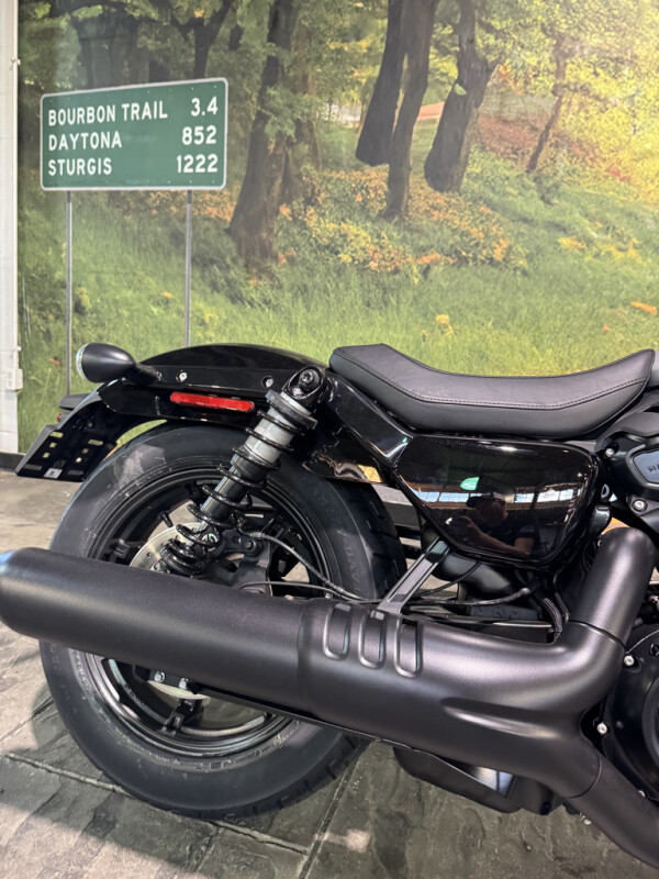 2025 Harley-Davidson® Nightster™, photo 7