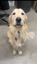 Baron