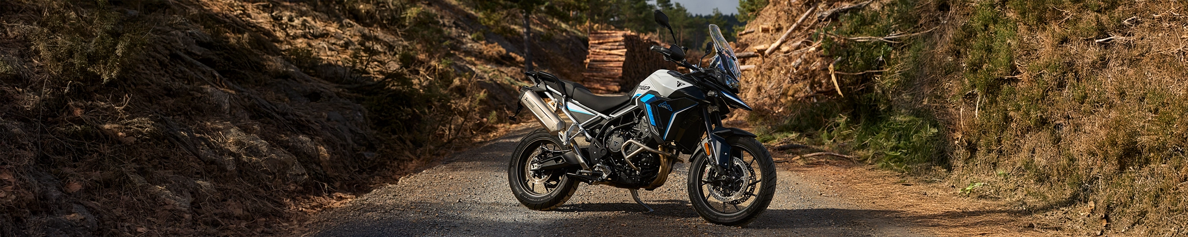 Tiger 900 Alpine Edition