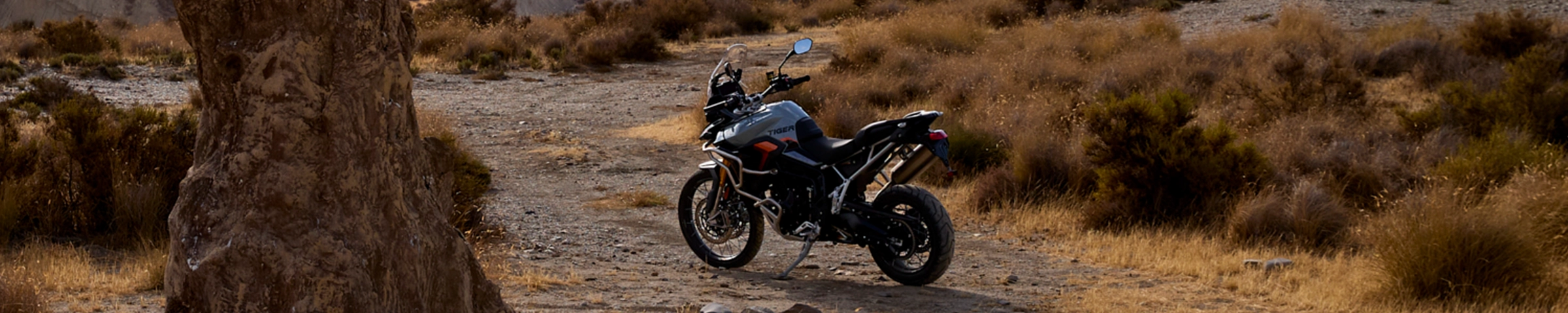2026 Tiger 900 Desert Edition