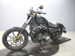 2020 Harley-Davidson® Iron 883™ XL 883N thumb 0