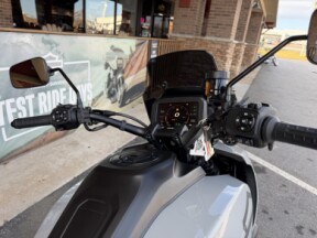 2025 Harley-Davidson® Pan America® 1250 ST Billiard Gray thumb 2