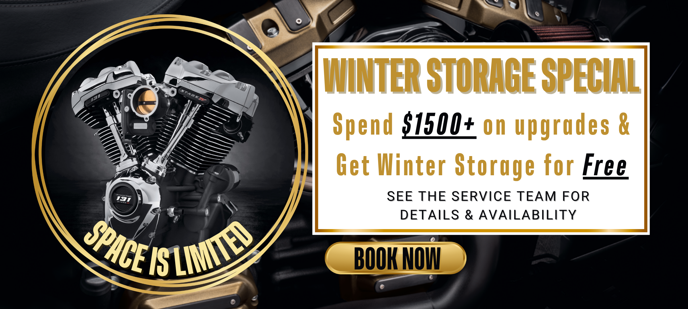 Snake Harley-Davidson® | Snake Harley-Davidson®